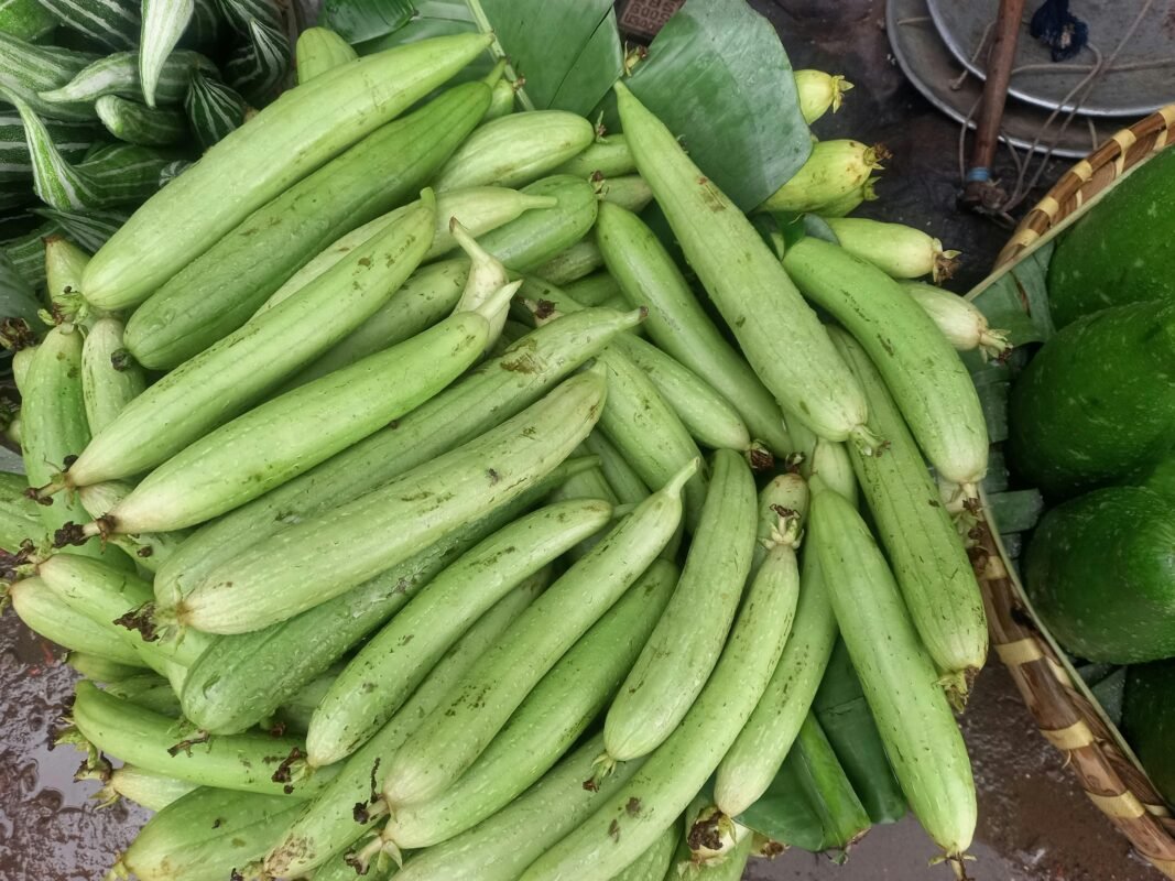 Bottle Gourd
