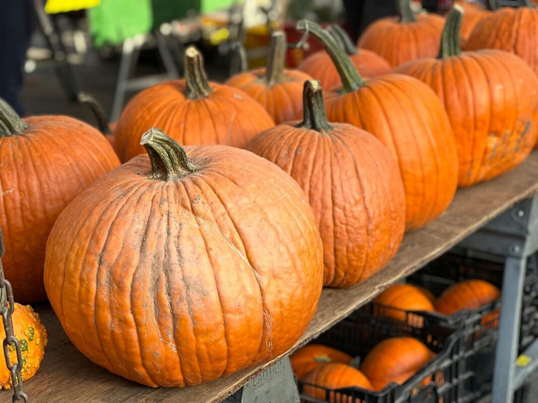 Pumpkin