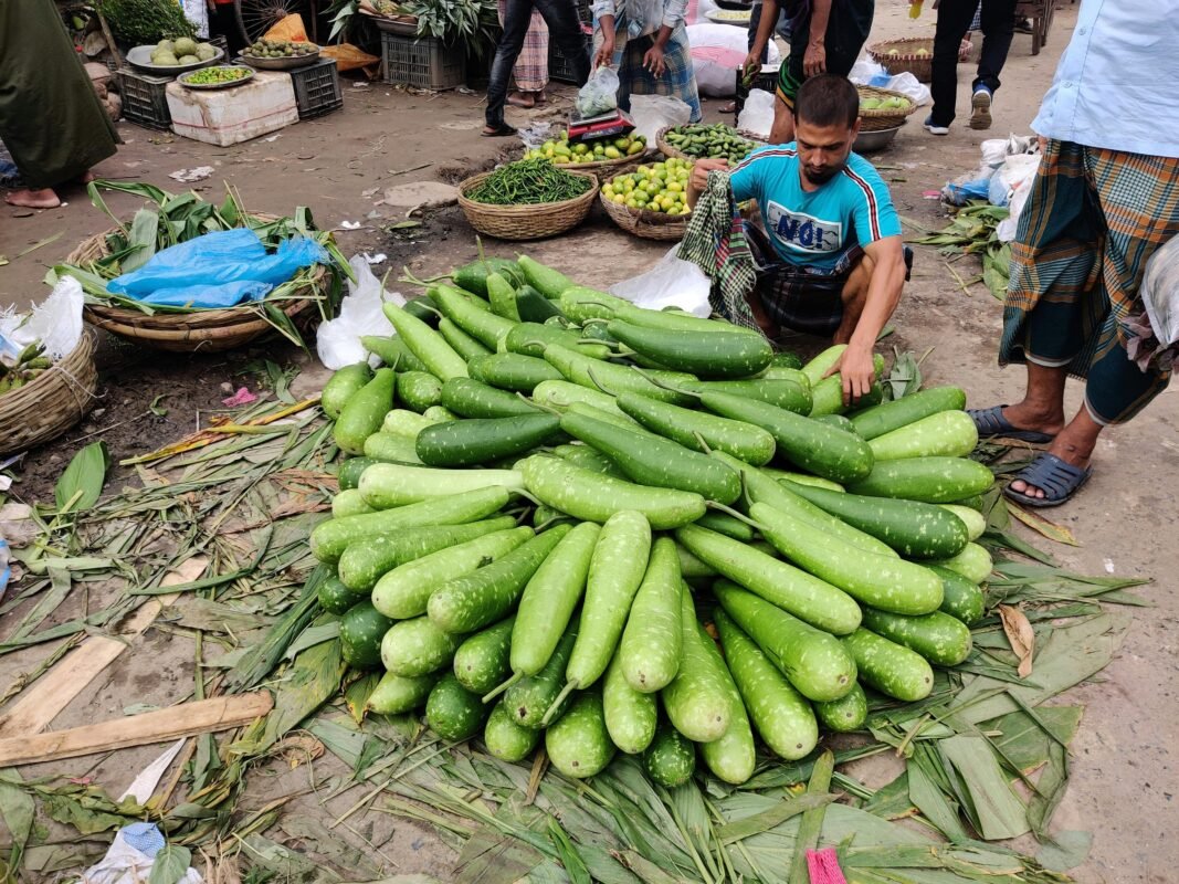 ash gourd winter melon